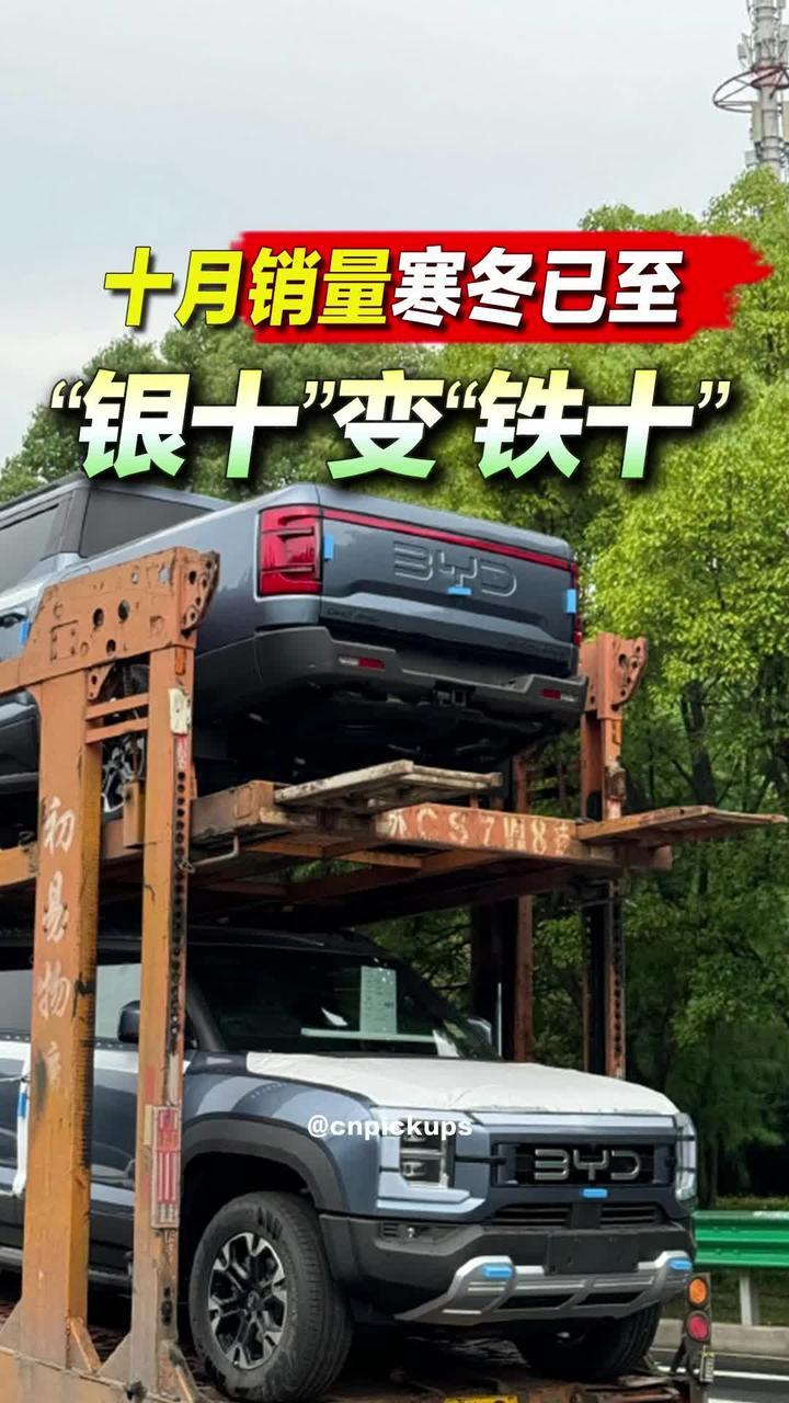 十月销量寒冬已至：“银十”变“铁十”！#抖音汽车  #皮卡 #销量 #海外
