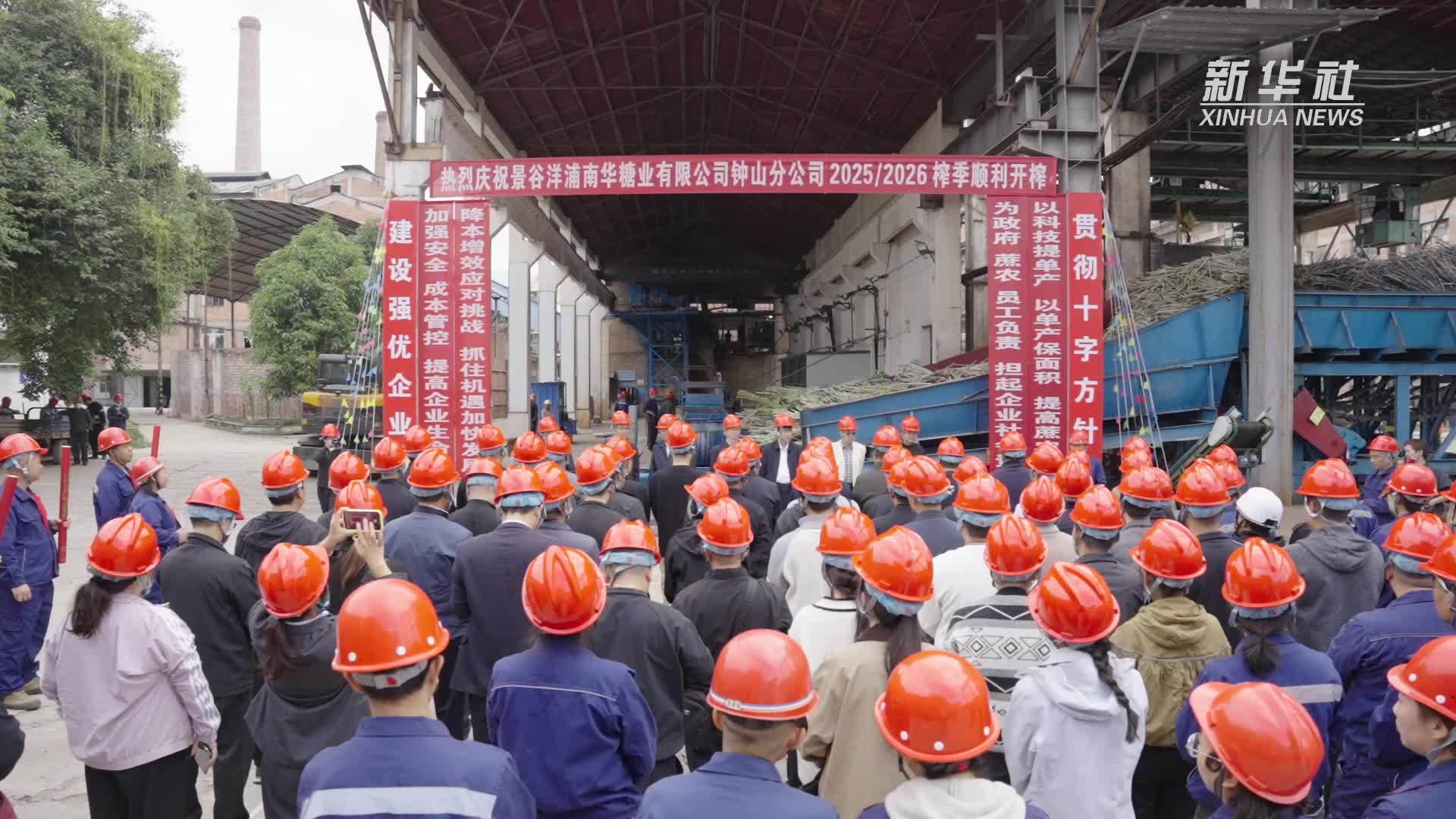 80万吨以上！云南景谷新榨季“甜蜜”开启