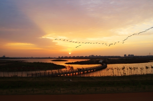 （河口区鸣翠湖湿地风景区一角·图源东营市人民政府官网）