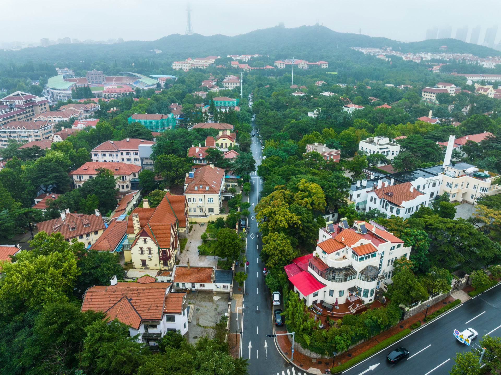 捕捉限定版美景 青岛八大关的美彻底藏不住了！