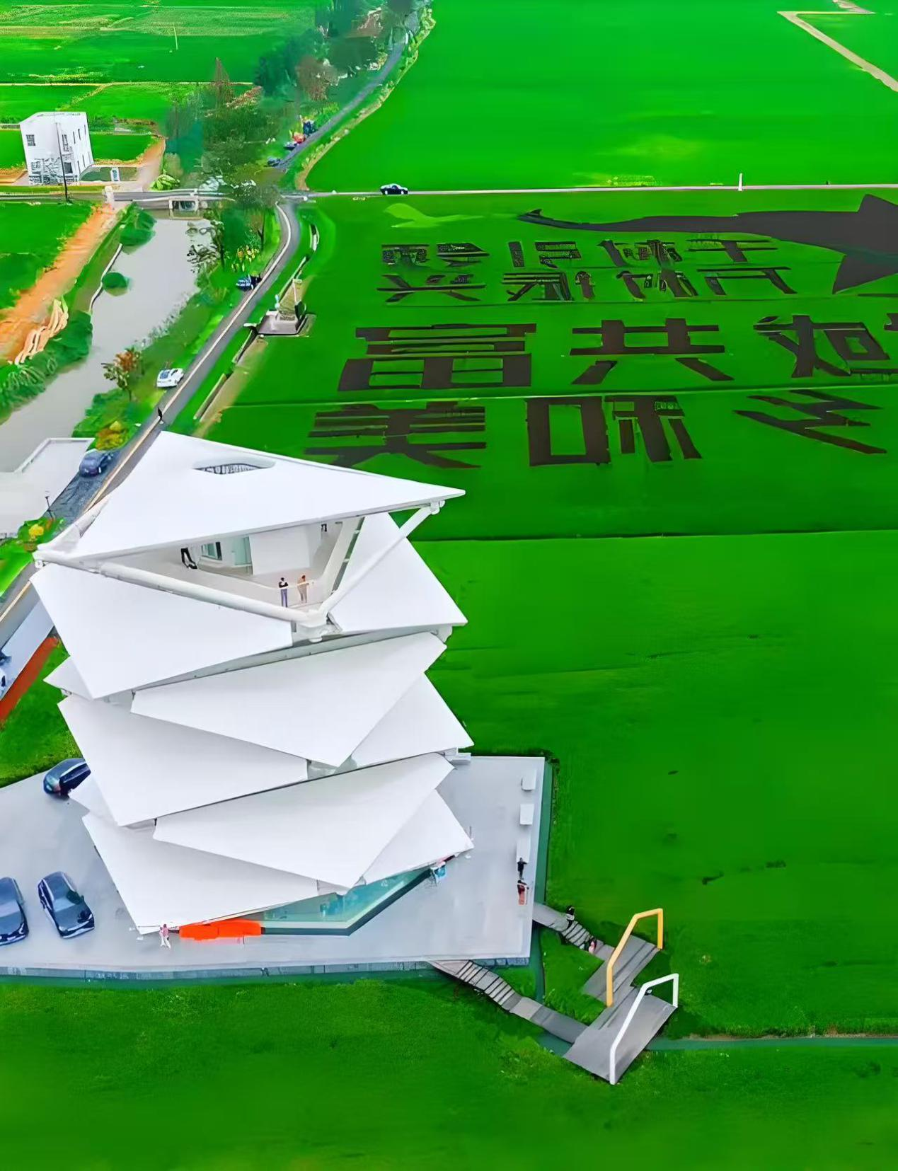 “四季乡韵 看见宁波”共富行丨庙后周村：粉黛染秋田，古陶续新篇