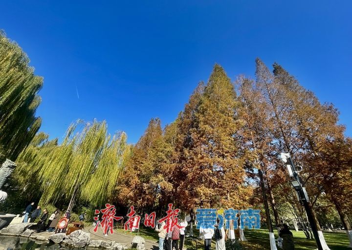 一年四季 泉在济南丨落叶绘“萌鹿” 济南五龙潭打卡冬日限定浪漫