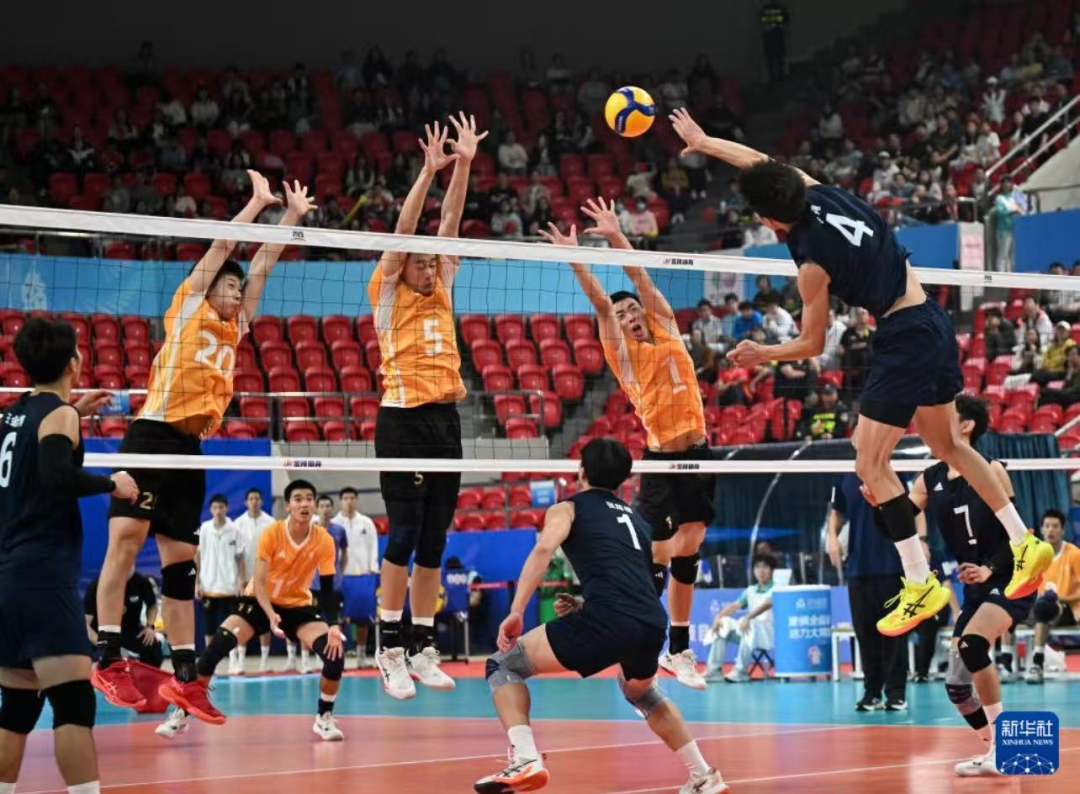 男排女篮收获一金一银，均创该项目浙江历史最好成绩！