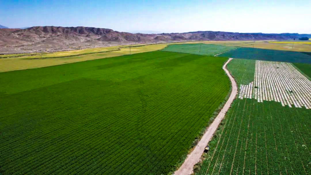 永昌县高原夏菜基地