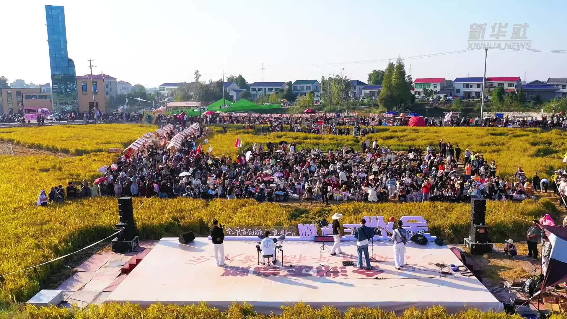 湖南宁乡：稻田音乐会唱响乡村振兴“青春之歌”