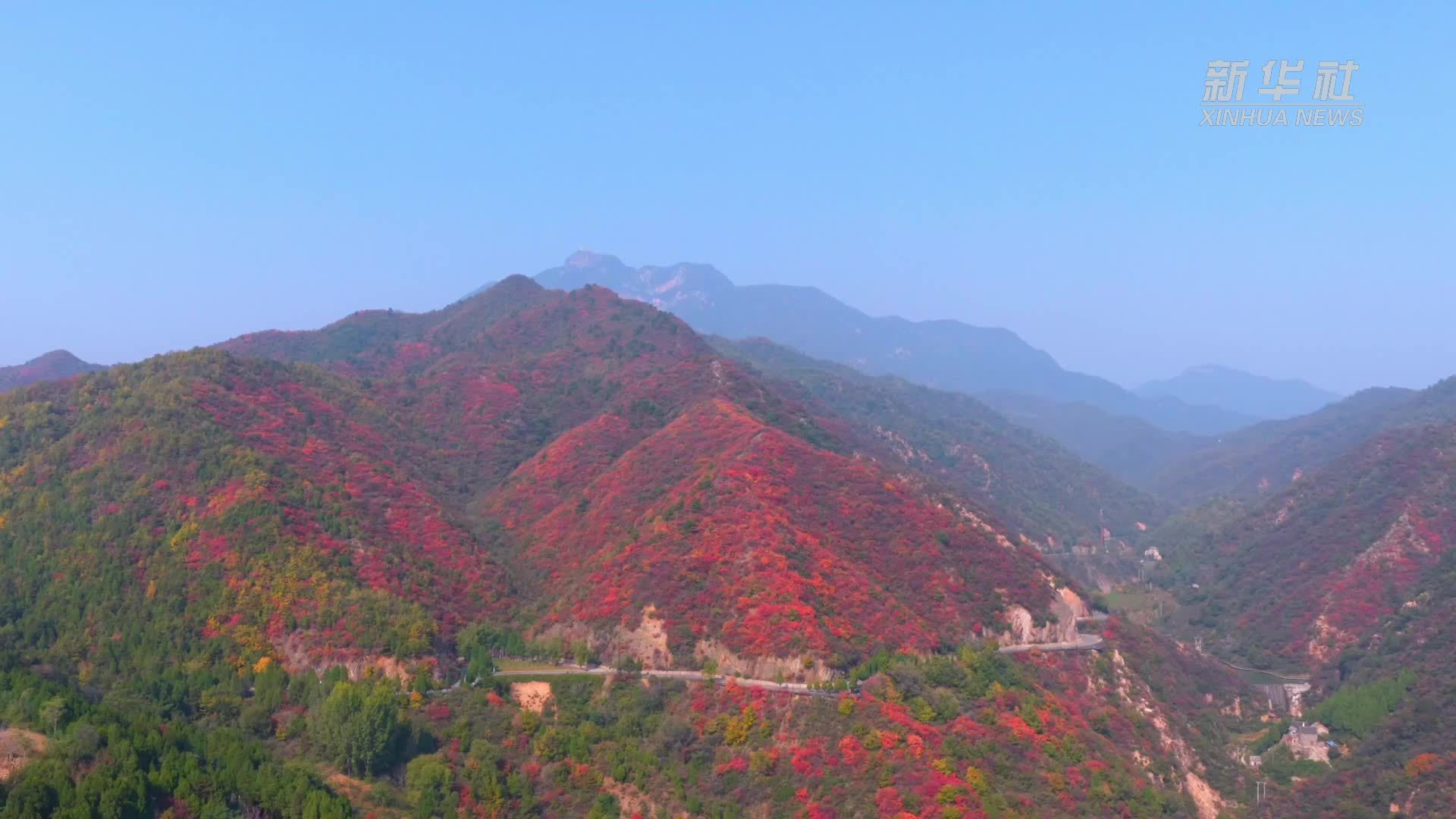 千城胜景｜河南济源：红叶映太行