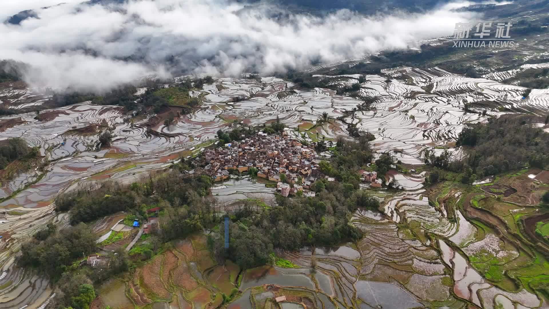 马建昌：云南哈尼梯田农耕文化的守护者