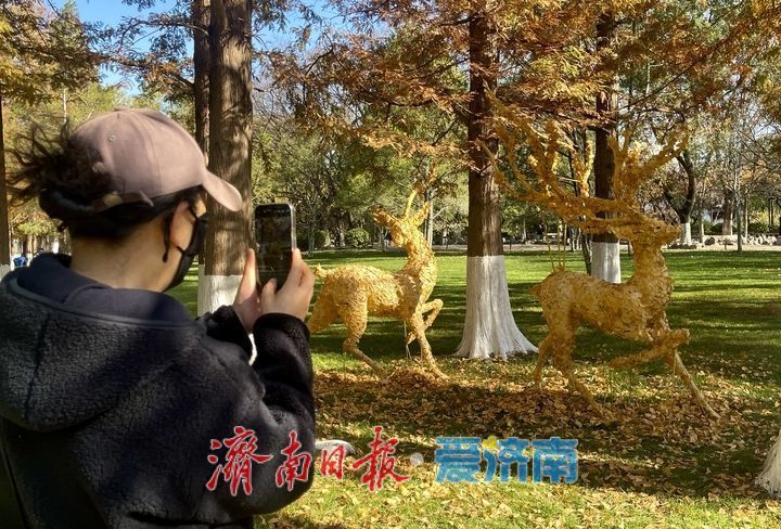 一年四季 泉在济南丨落叶绘“萌鹿” 济南五龙潭打卡冬日限定浪漫