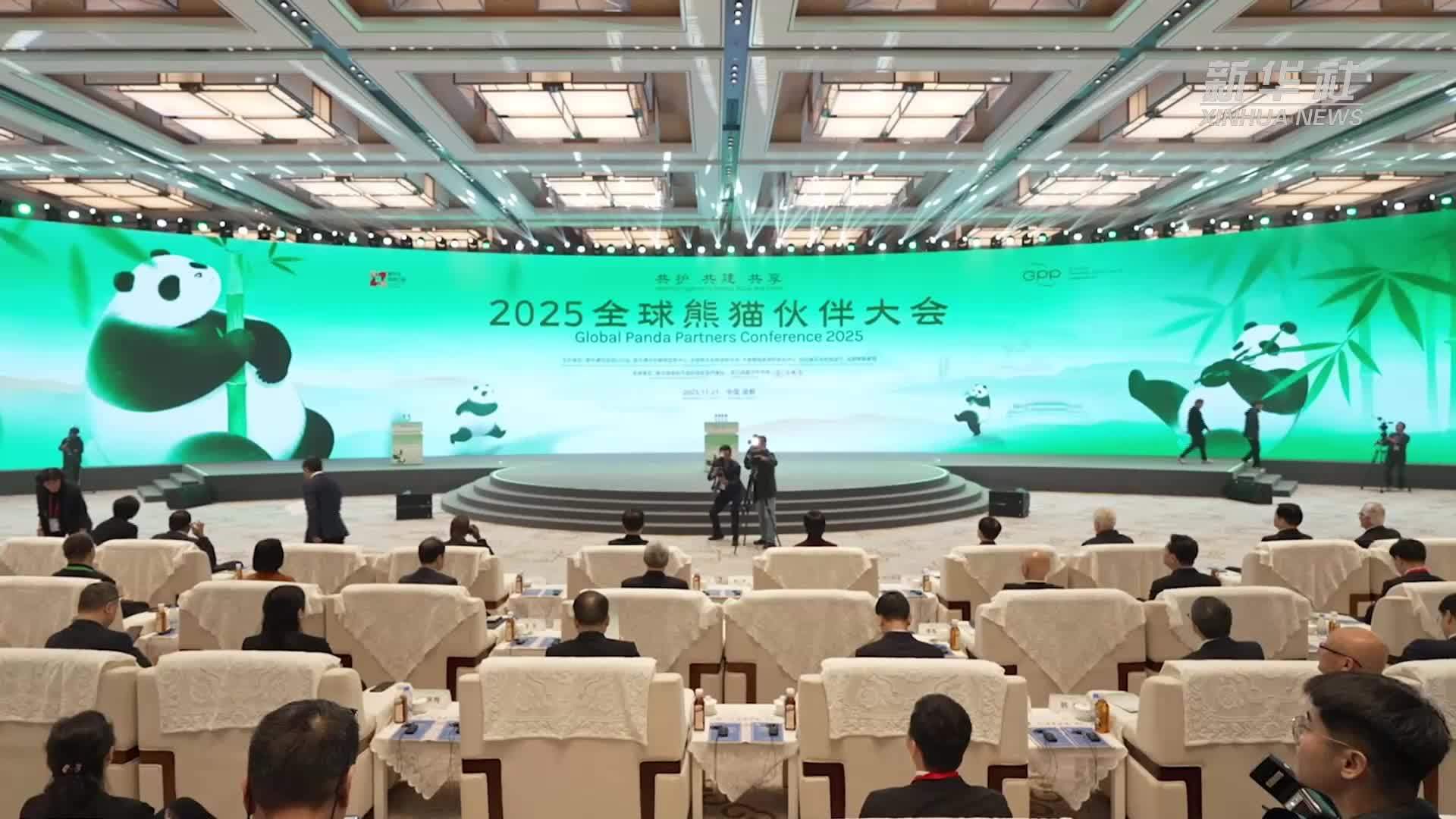 聚焦“共护、共建、共享”  2025全球熊猫伙伴大会在成都开幕