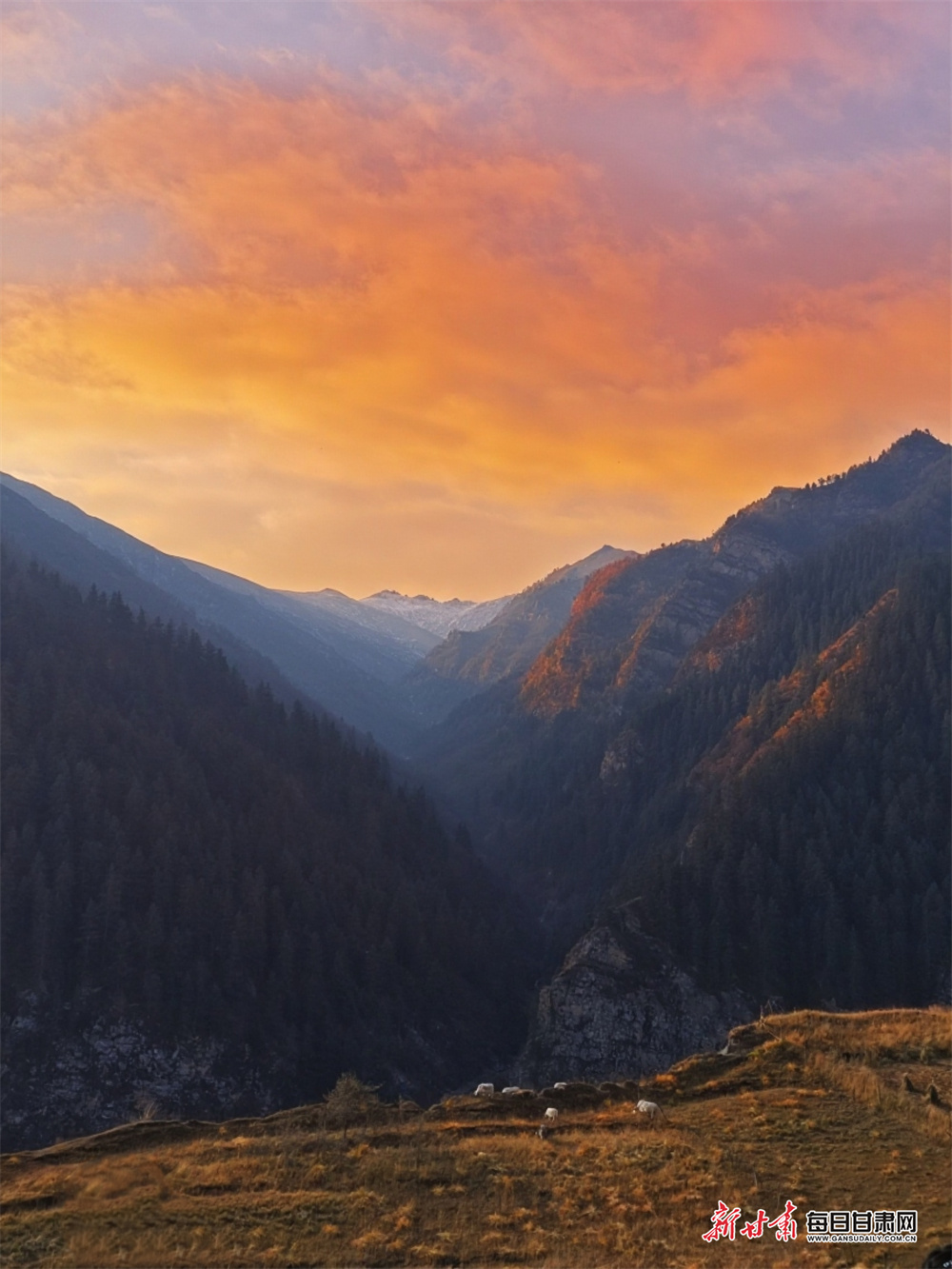 甘肃上演绝美冬日浪漫大片　快来一探究“镜”