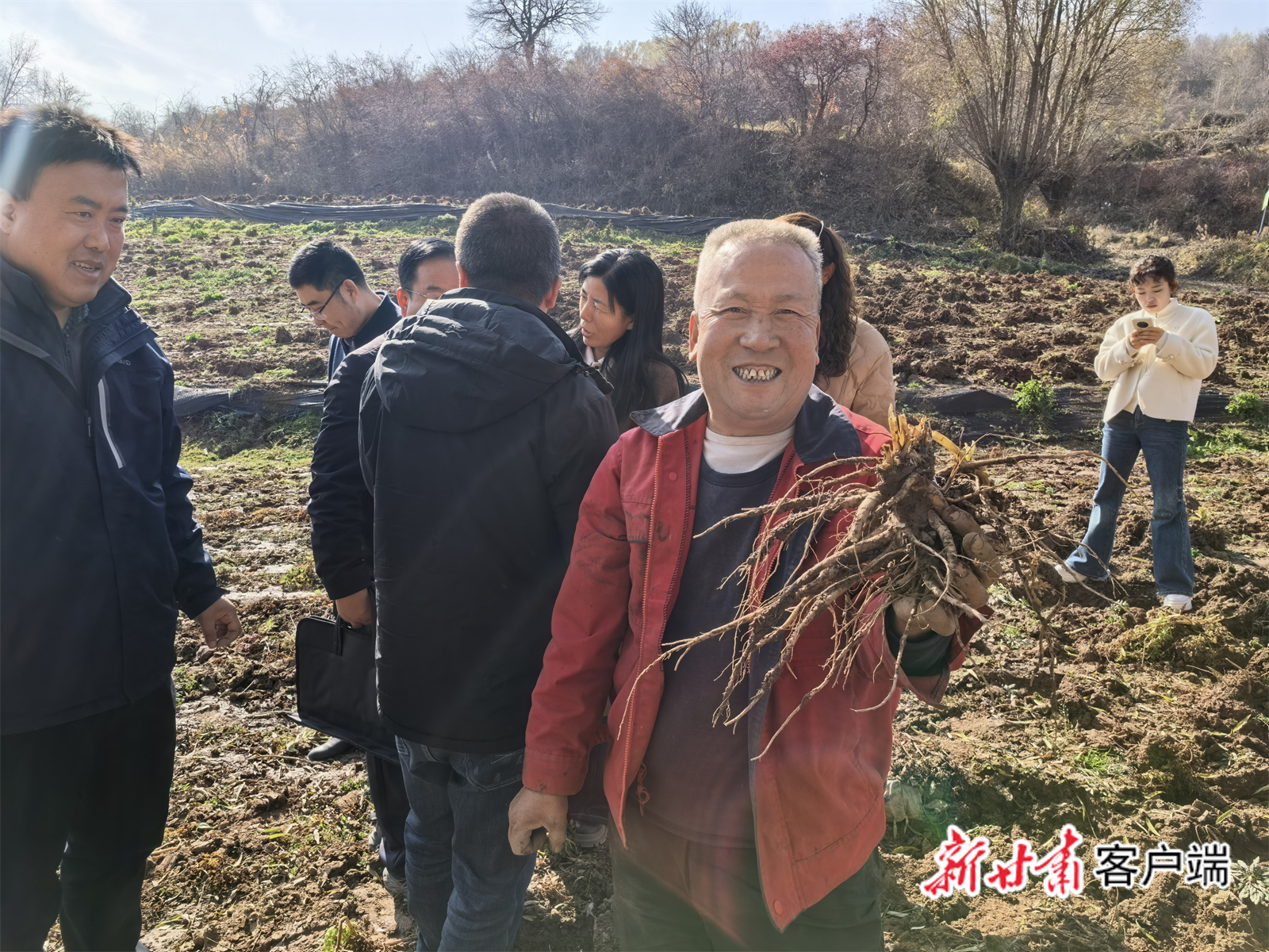 临洮县世茂种植专业合作社负责人马海林展示丰收的中药材