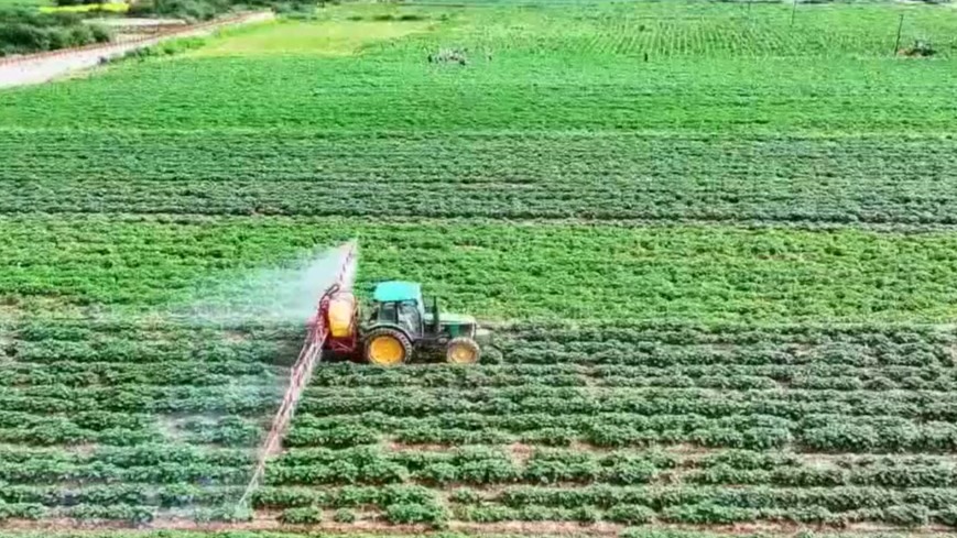 甘肃13个“甘味”品牌入选国家级培育计划