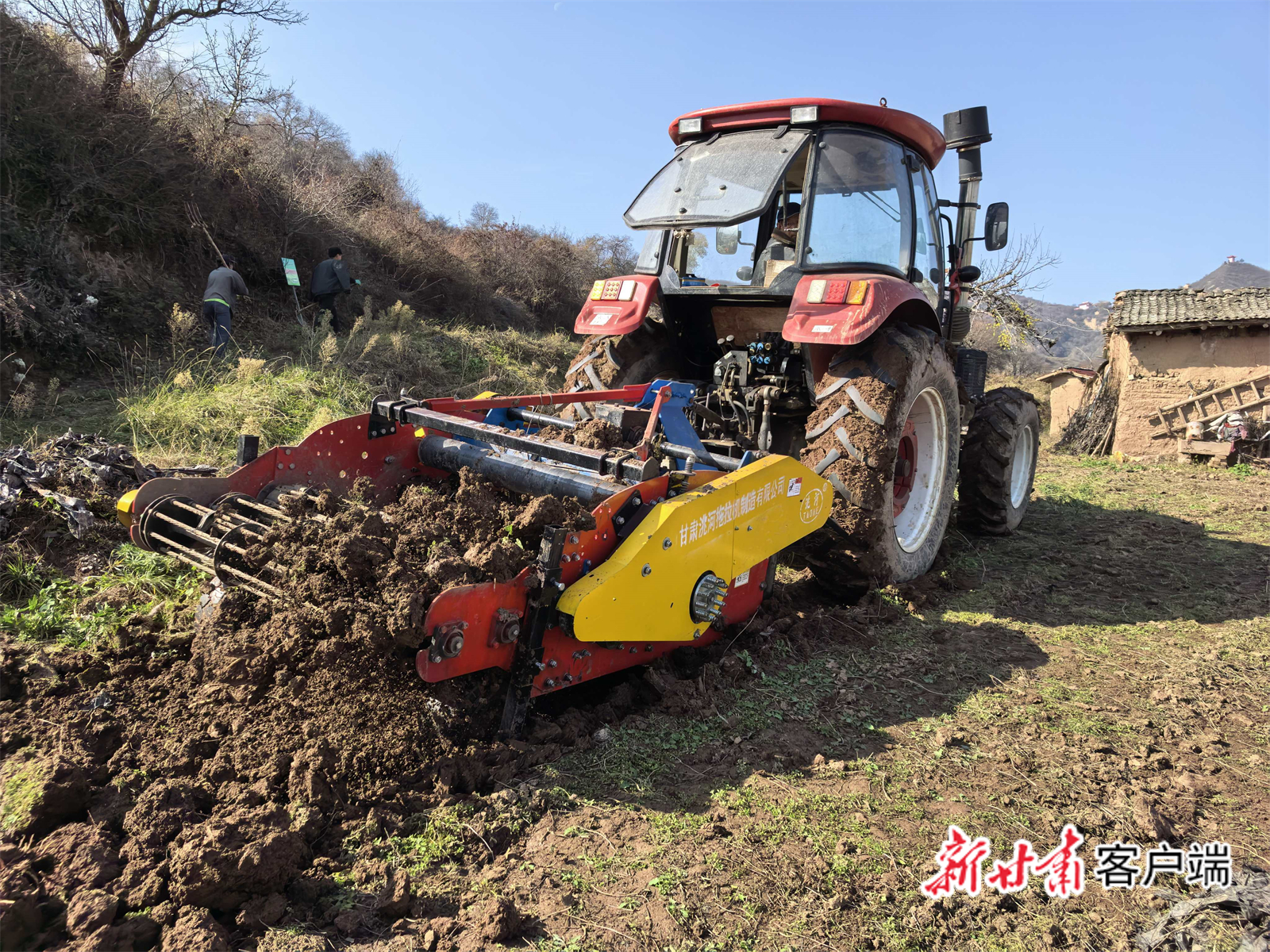 中药材机收现场　图片由新甘肃&middot;甘肃日报记者冯宝强摄