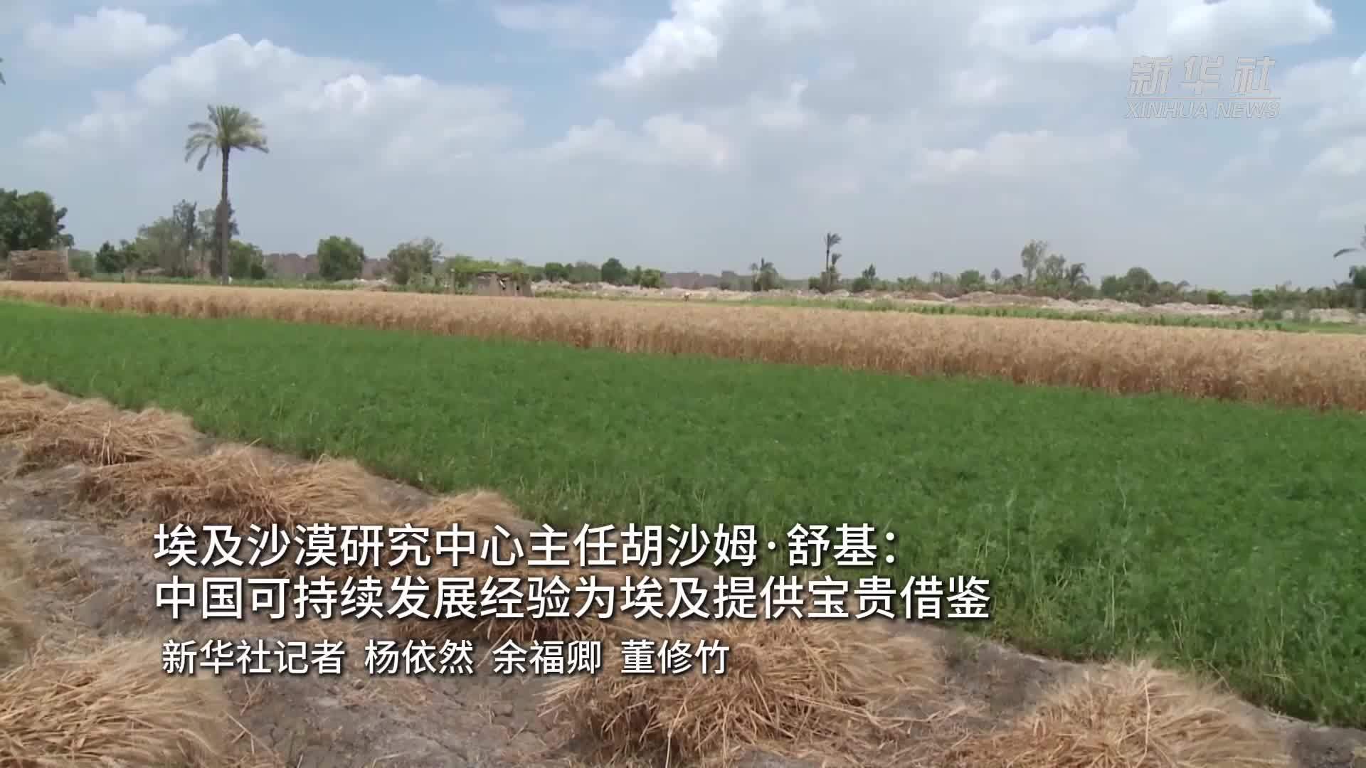 埃及沙漠研究中心主任胡沙姆·舒基：中国可持续发展经验为埃及提供宝贵借鉴