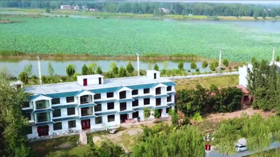 四中全会精神在基层丨河南民权：黄河故道上的绿色答卷