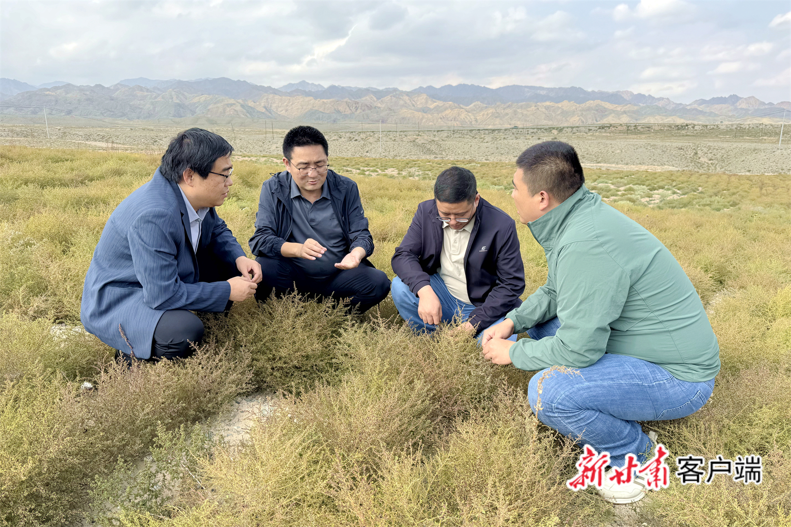 团队成员观察盐碱地改良情况