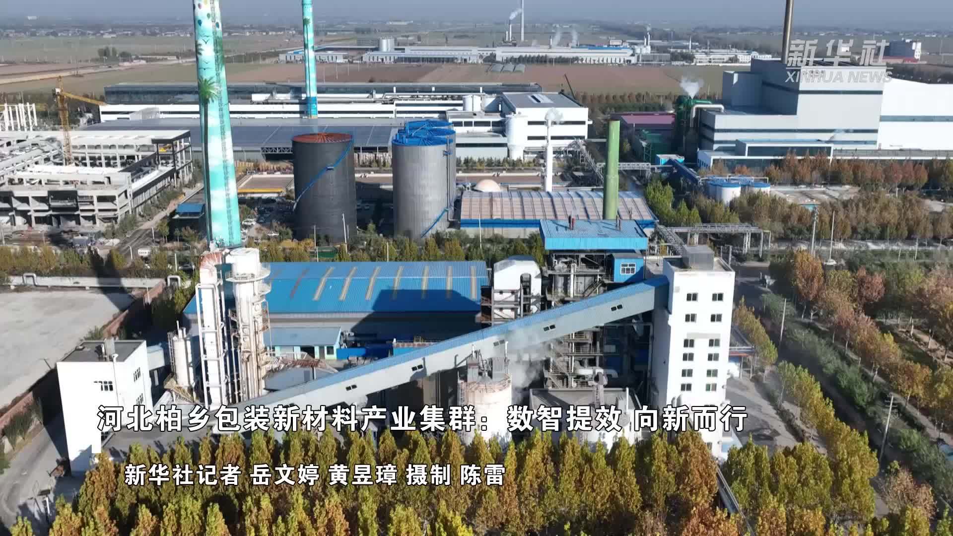 河北柏乡包装新材料产业集群：数智提效 向新而行