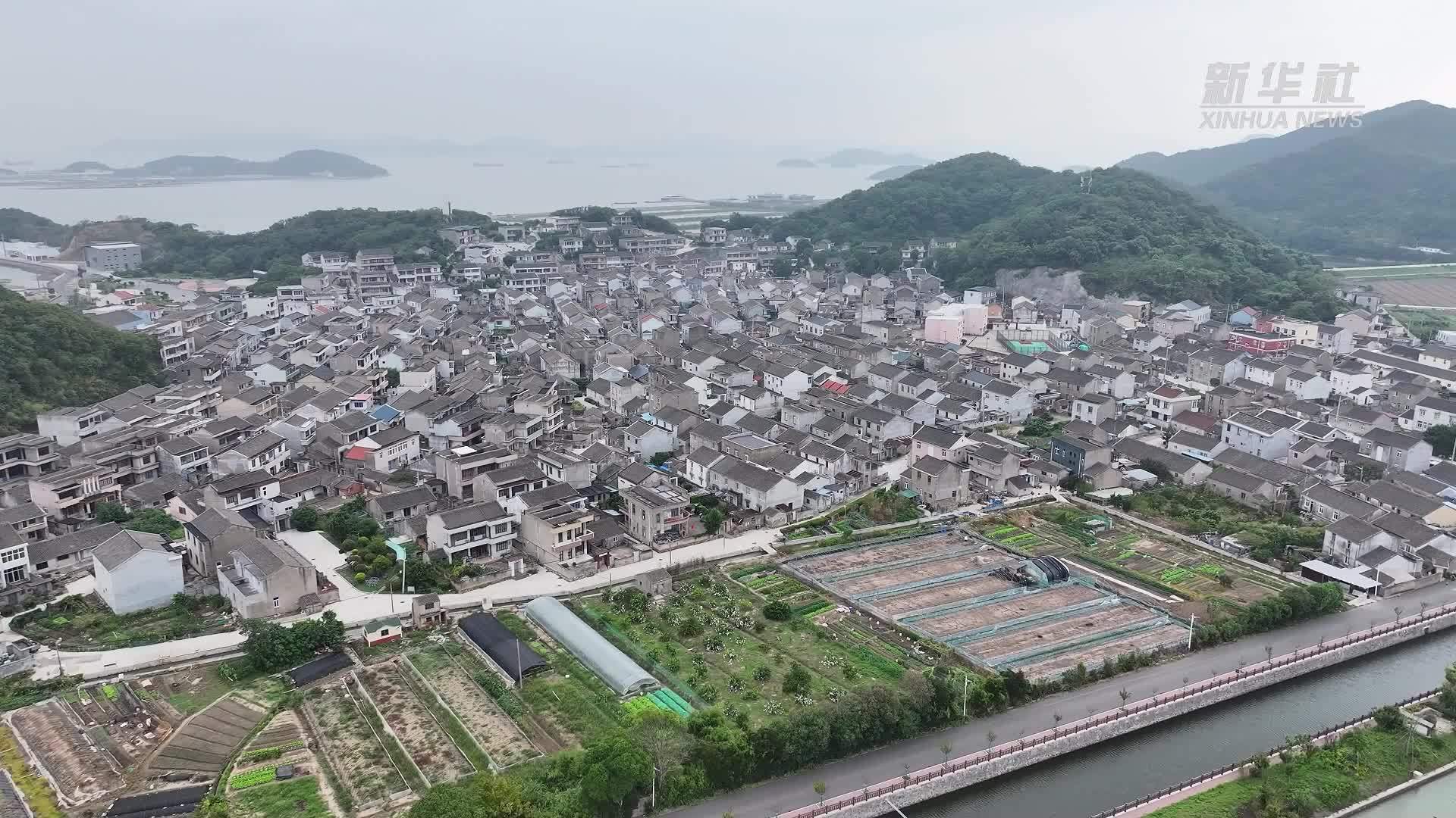 浙江舟山：“渔光互补”项目迎青蟹丰收