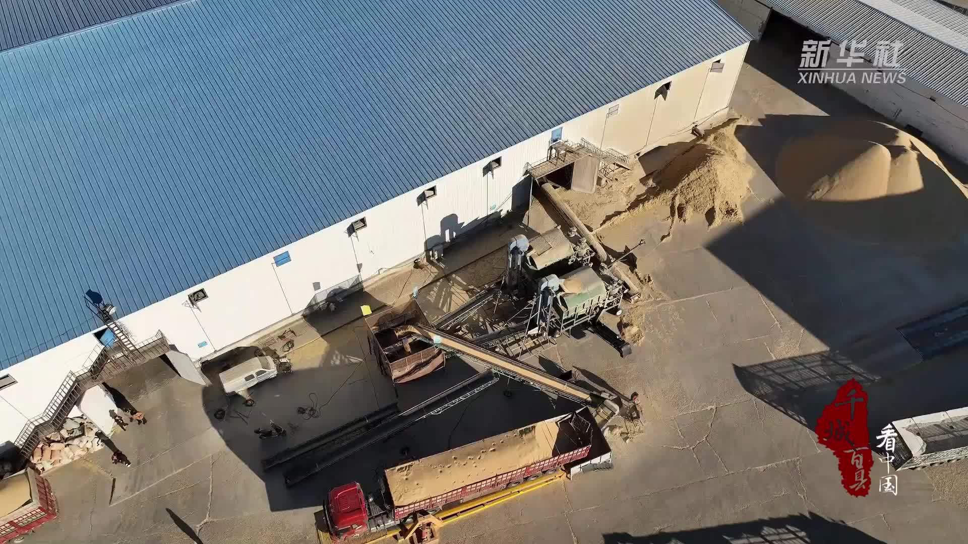 千城百县看中国｜吉林白城：粮安仓实