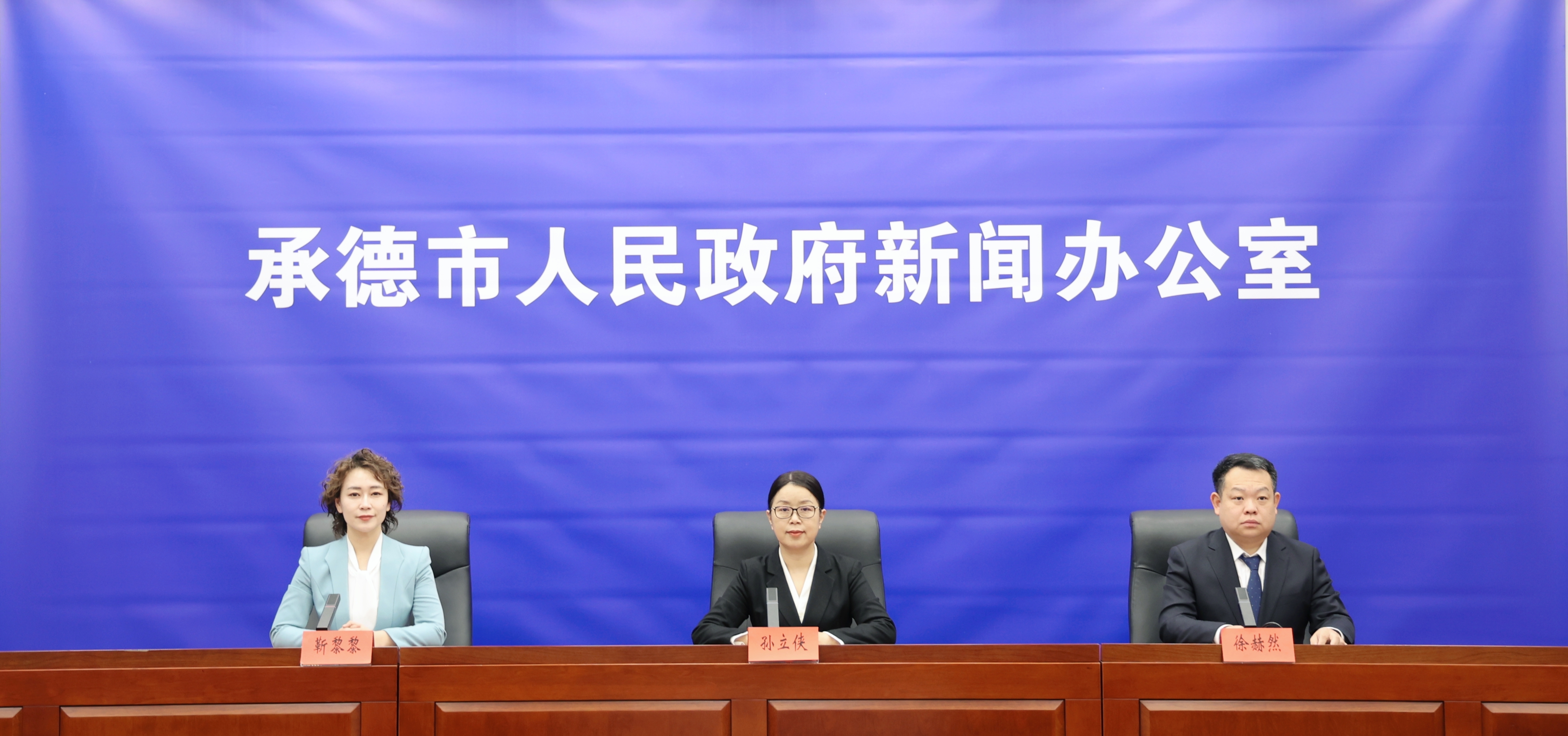 发布会 王占平摄