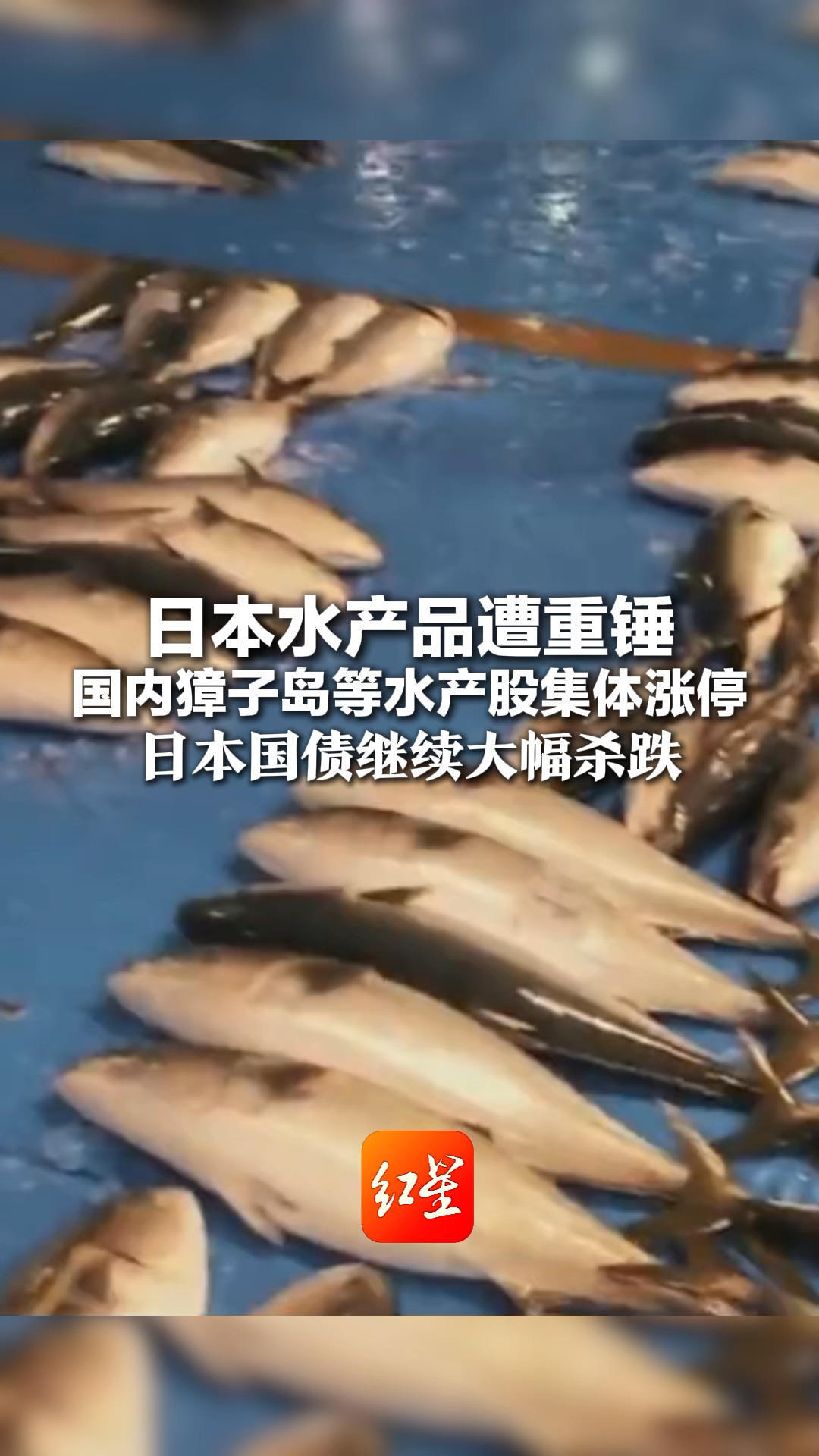 日本水产品遭重锤 国内獐子岛等水产股集体涨停 军工股也大涨！日本国债继续大幅杀跌