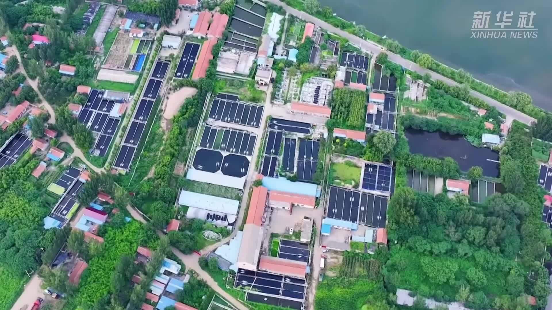 中国农业将“奢华美味”端上世界百姓餐桌