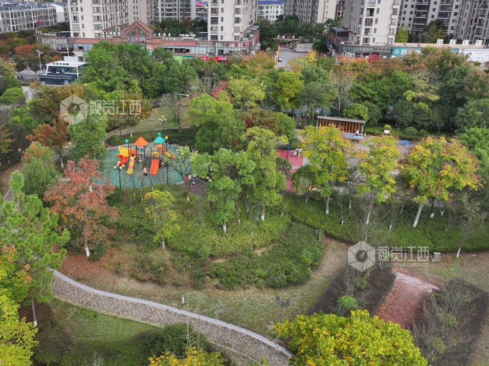 2025年11月14日,江西省萍乡市芦溪县芦洲园湿地公园,色彩斑斓的公园在冬日阳光映衬下美如画卷,吸引不少市民前来拍照打卡。