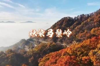 冬日的第一场旅行来六安｜层林尽染 童话世界
