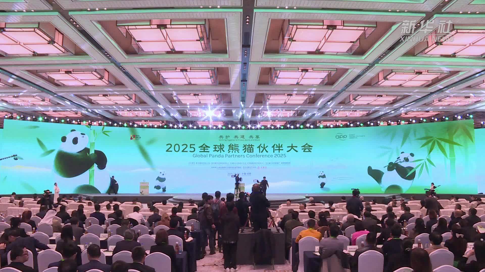 资源共享 合力构建熊猫文创成果转化“快车道”