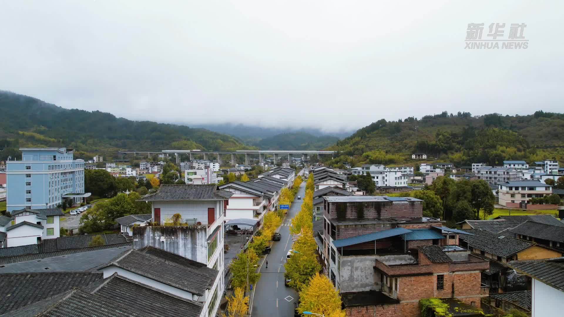 瞰中国｜福建德化：古街银杏绽金黄