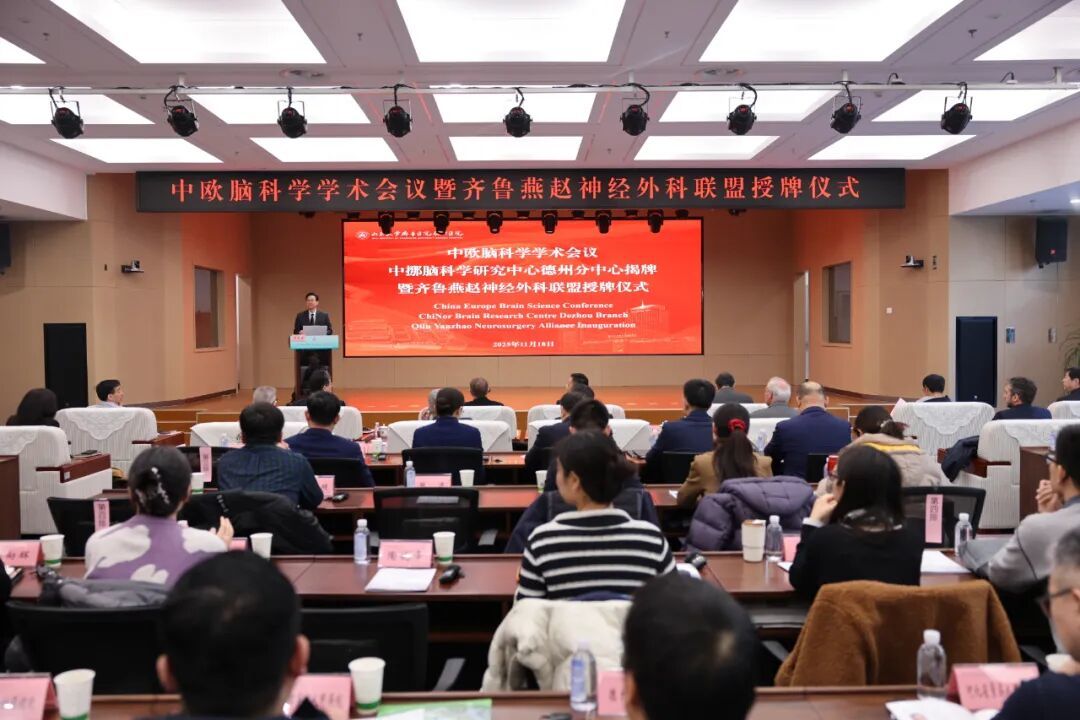 齐鲁医院德州医院主办中欧脑科学学术会议暨齐鲁燕赵神经外科联盟授牌仪式