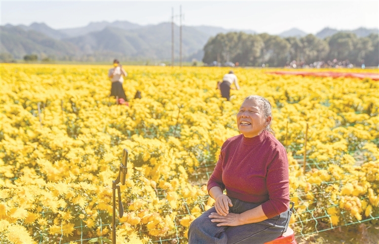 修水县：金色盛宴（图）
