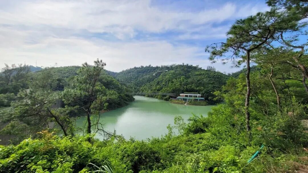 澳門的綠色生態，還有多少未被發現的“寶藏”？