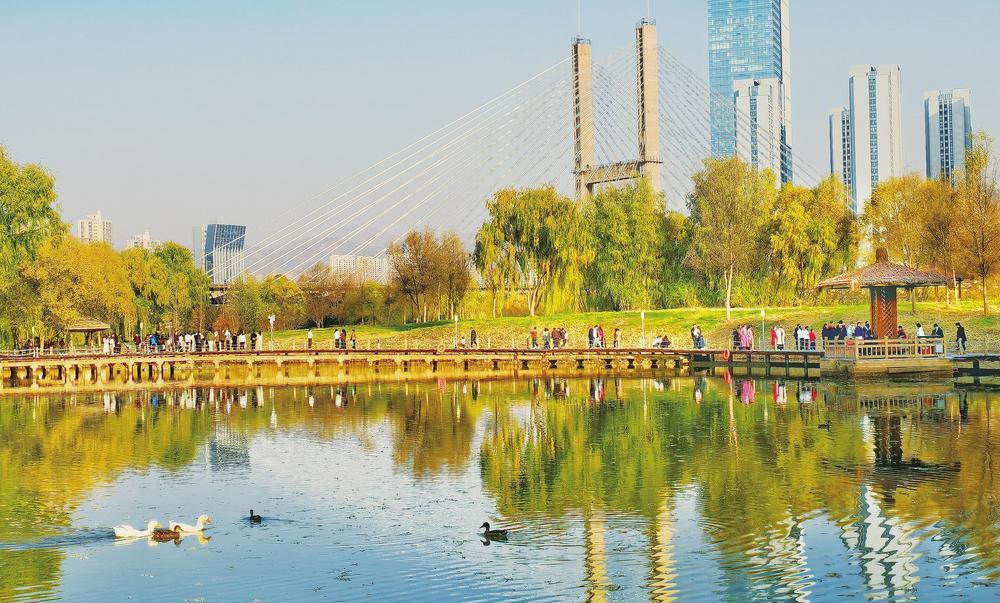 11月16日，市民在兰州银滩湿地公园赏景游玩。初冬时节，兰州银滩湿地公园层林尽染、景色如画，成为市民健身漫步的好去处。