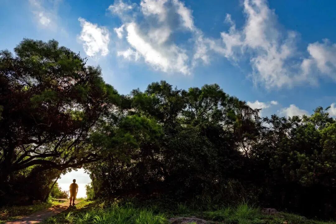 澳門的綠色生態，還有多少未被發現的“寶藏”？