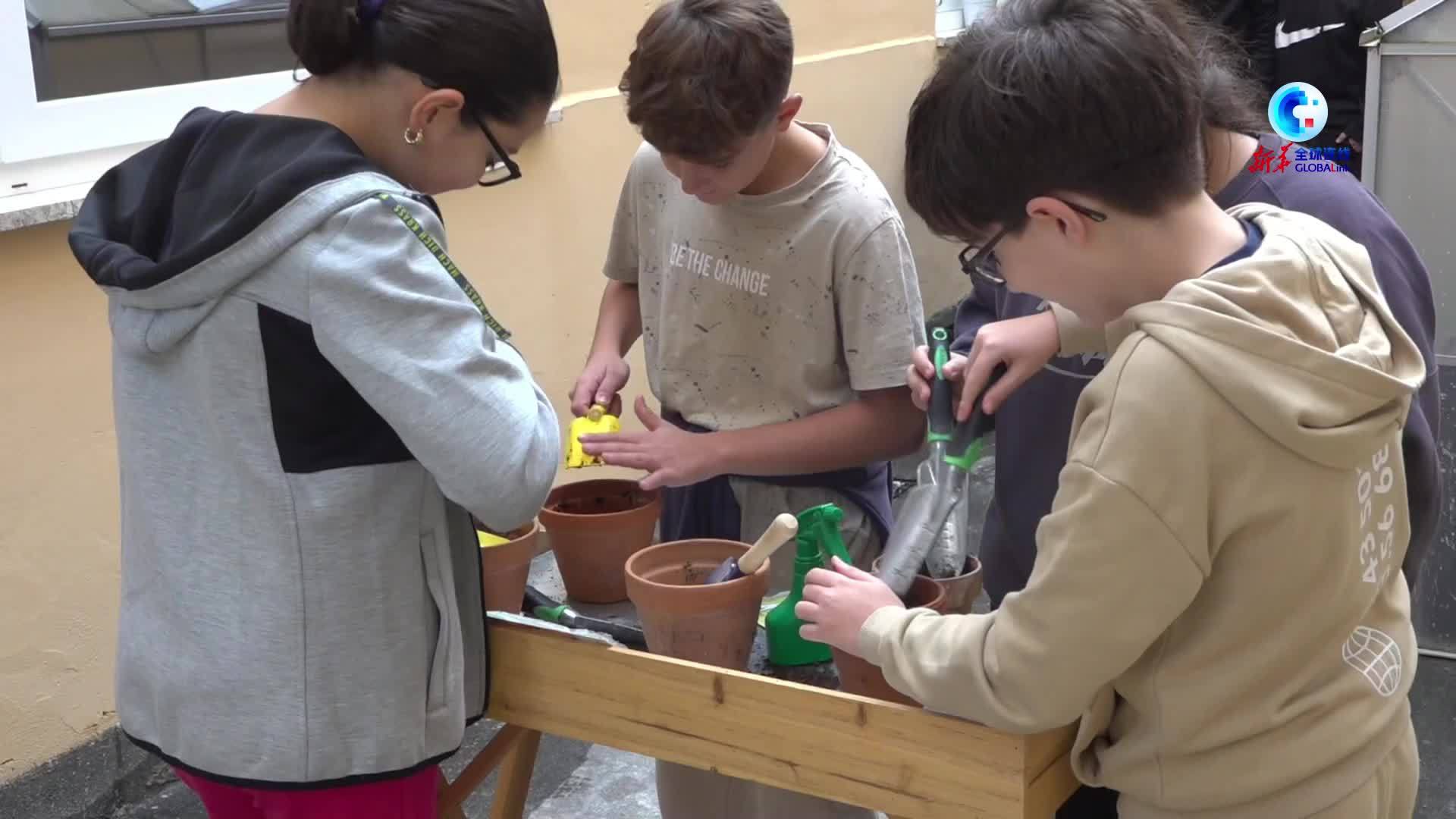 全球连线丨罗马绿色校园活动点亮世界儿童日