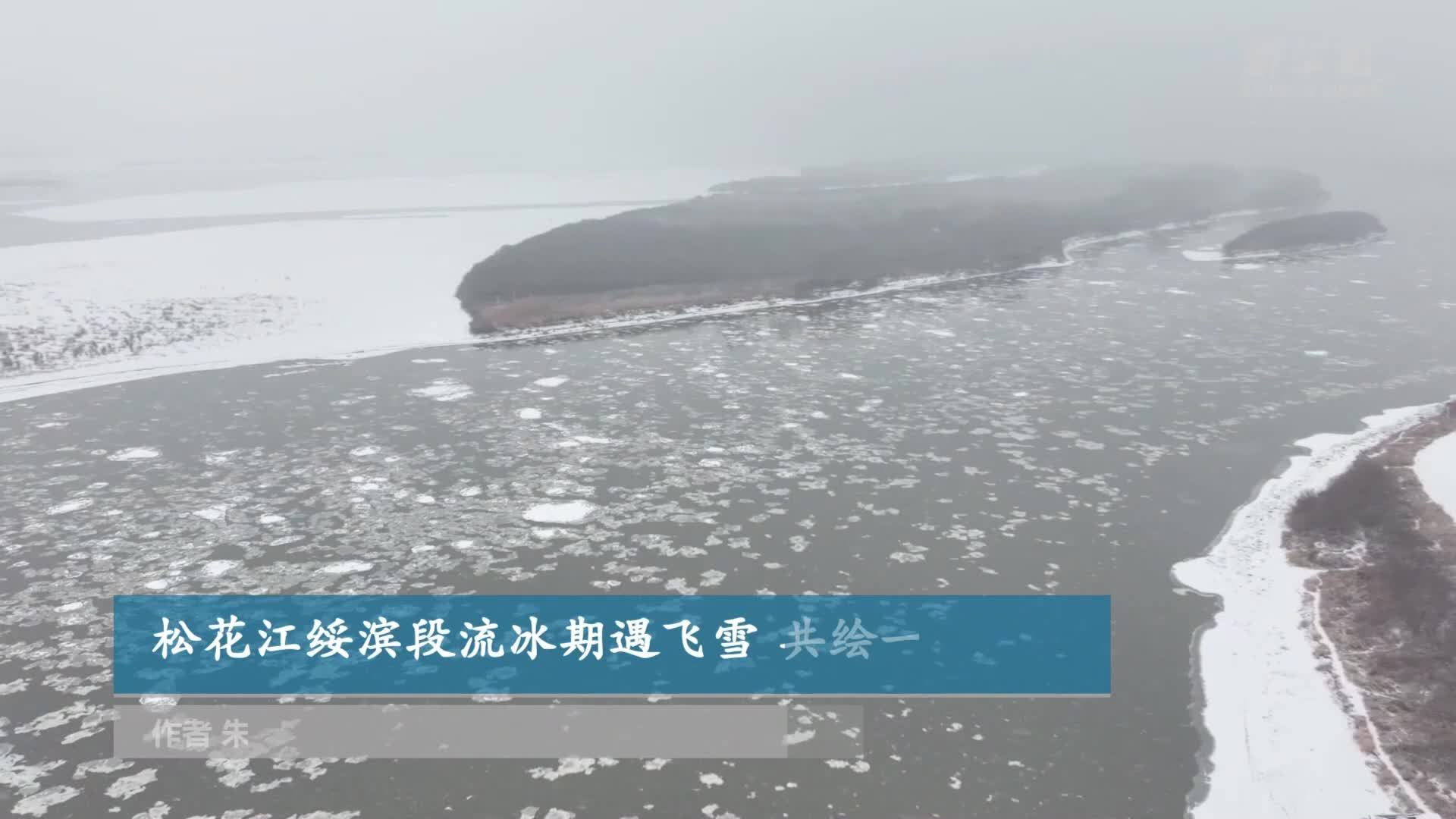 松花江绥滨段流冰期遇飞雪 共绘一江冬韵