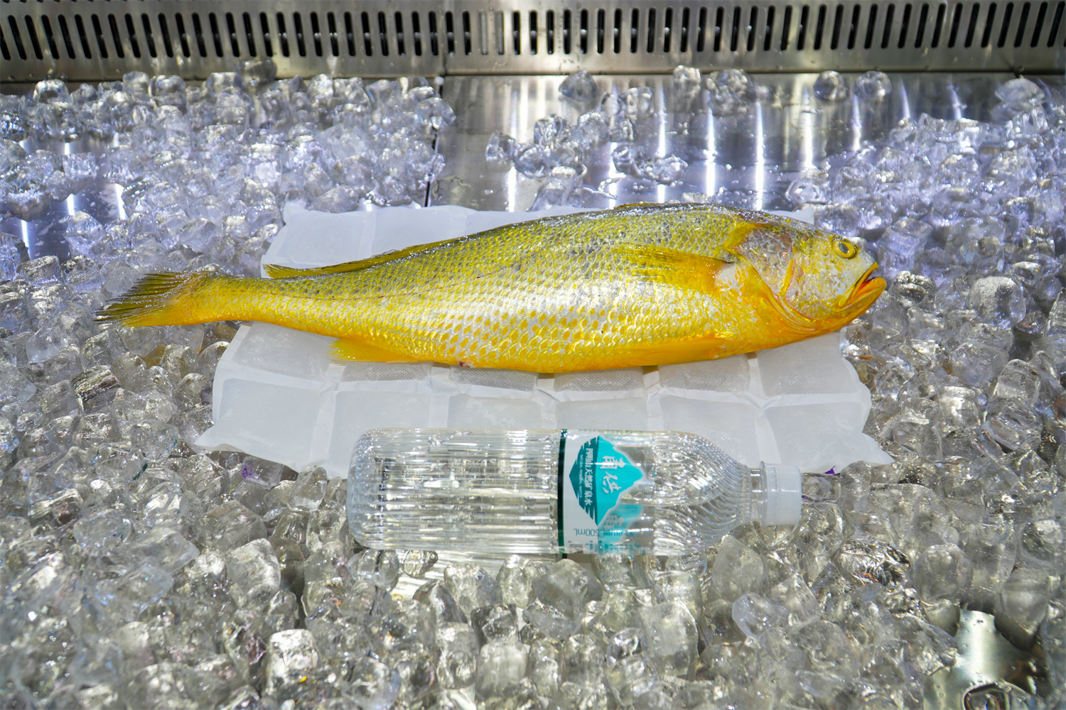 “甬供”品牌闪耀食博会 反响热烈彰显领军品牌风采