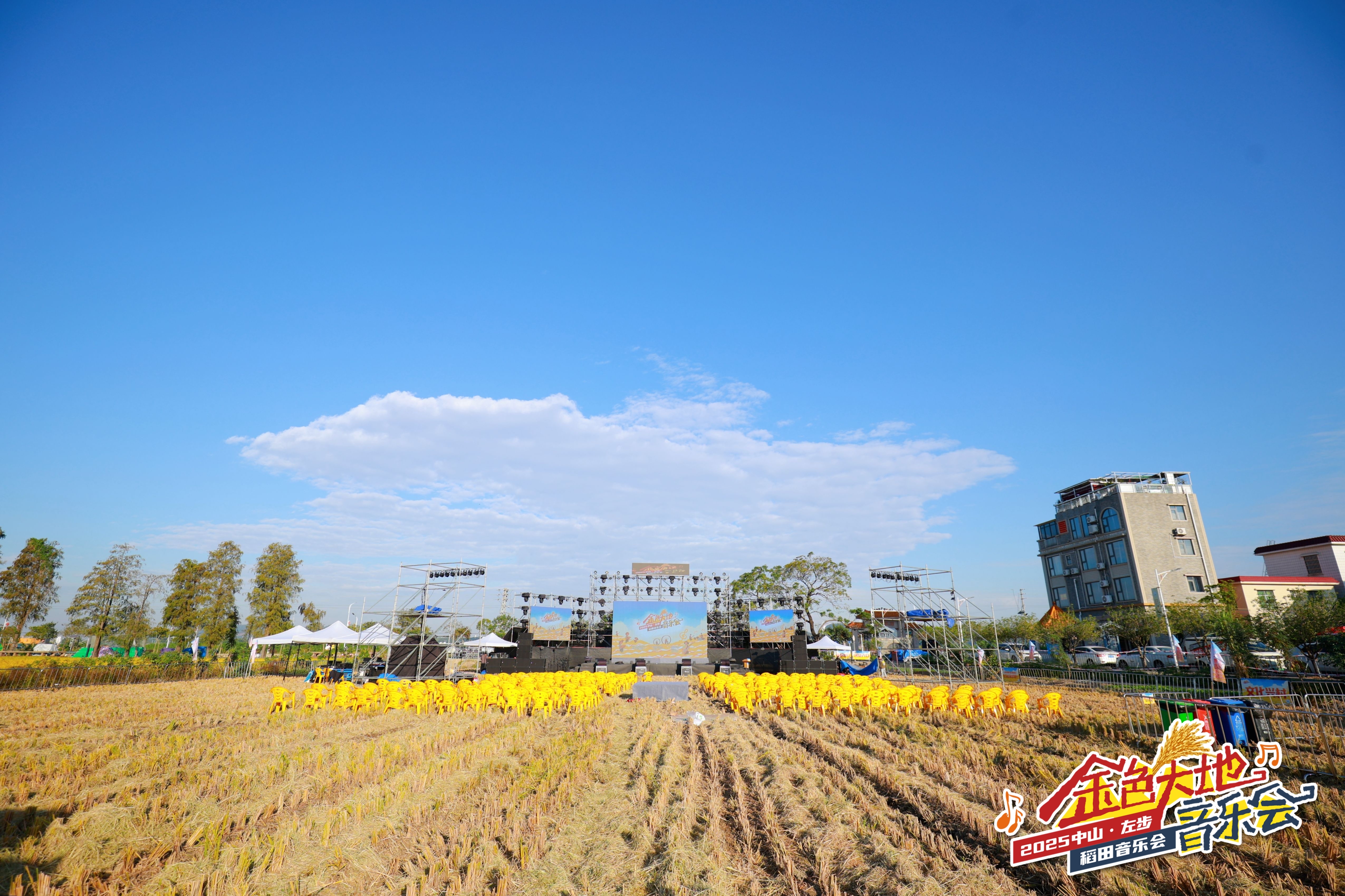 当金色稻田遇上文艺旋律:中山南朗左步以“文”为媒 推动文化传承与乡村发展双赢