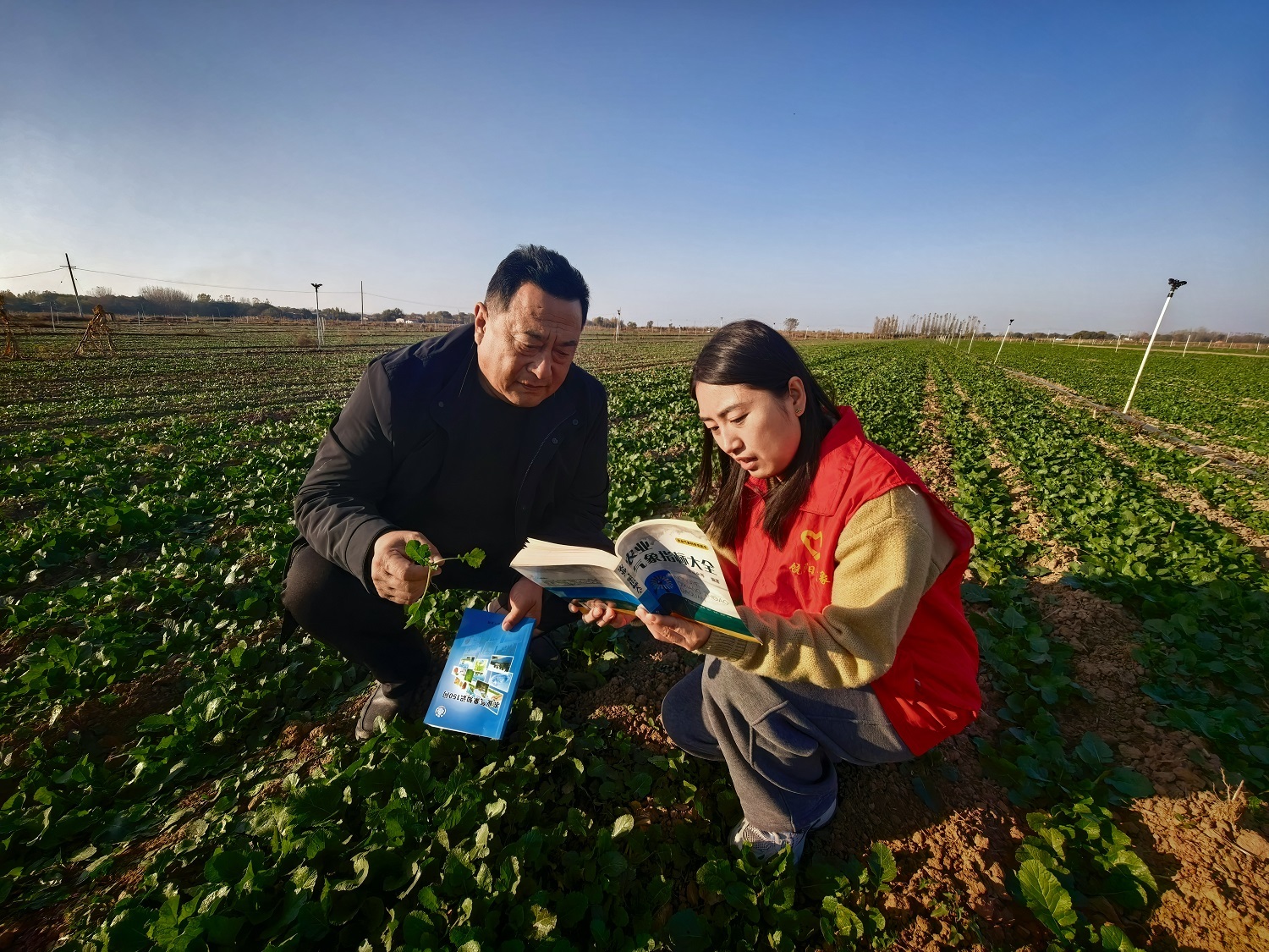 衡水饶阳:气象“处方”暖田间 护航粮油作物安全越冬