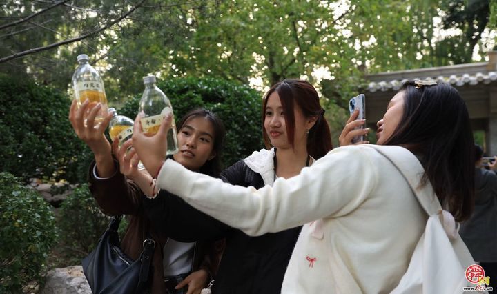 外眼看济南|一条水路,千年泉韵:从趵突泉到大明湖的CityWalk