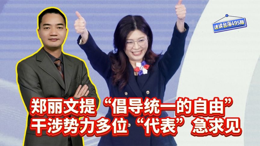 郑丽文“倡导统一”四字吓坏了谁？美西方“驻台代表”排队求见