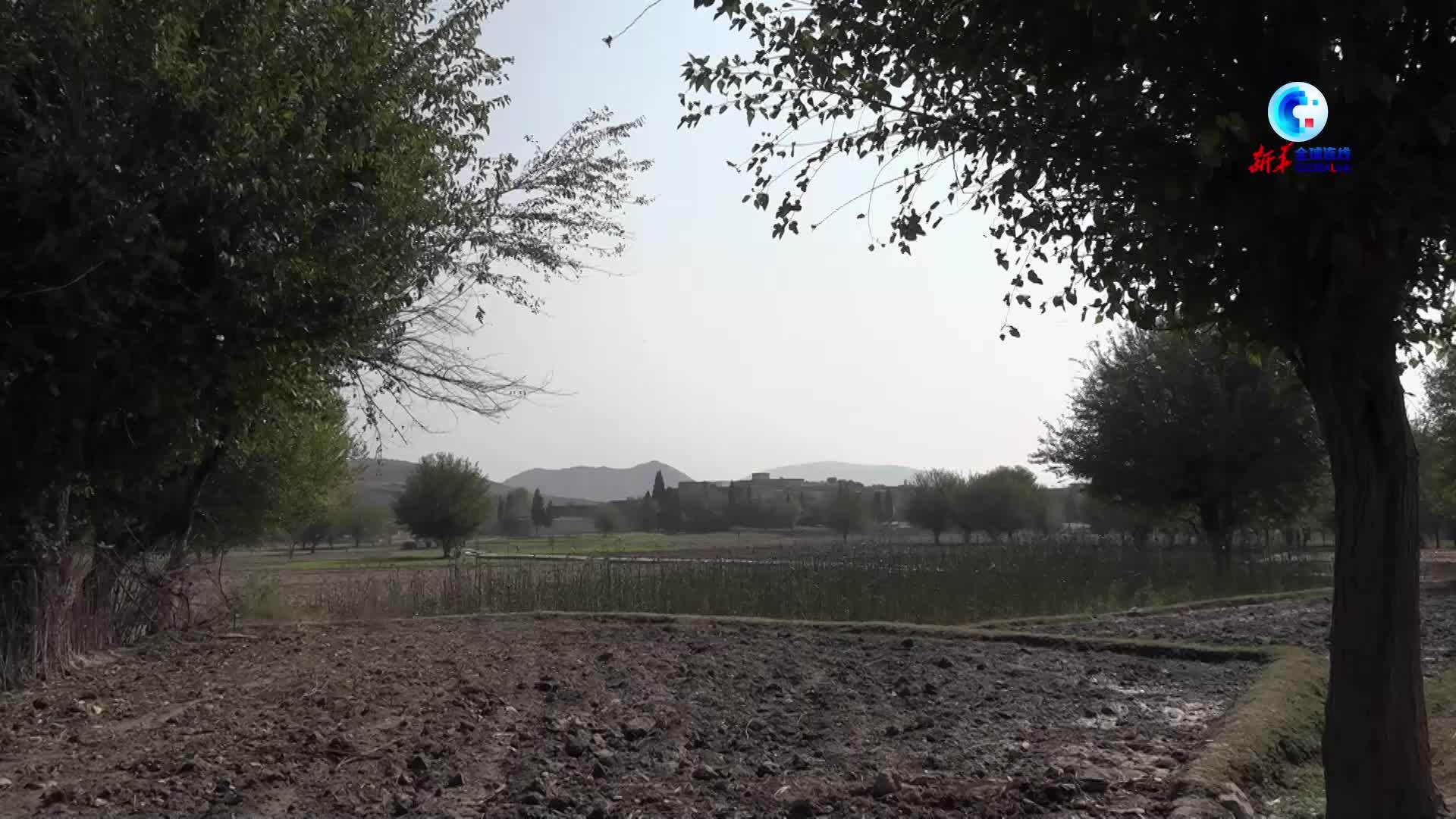 全球连线｜阿富汗少年的中国“心声”