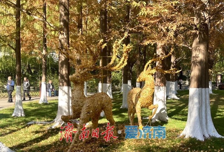 一年四季 泉在济南丨落叶绘“萌鹿” 济南五龙潭打卡冬日限定浪漫