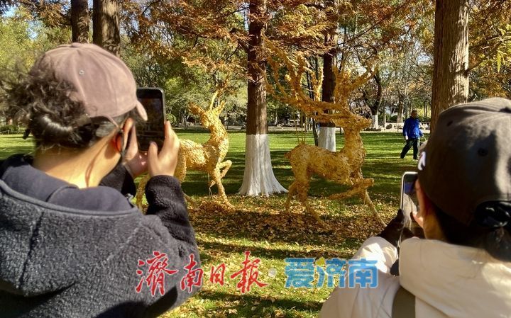 一年四季 泉在济南丨落叶绘“萌鹿” 济南五龙潭打卡冬日限定浪漫