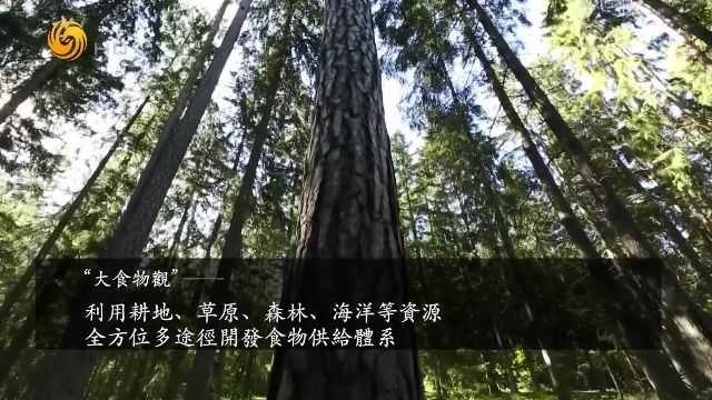 大食物观下，调整粮食种植比例的时机来了？