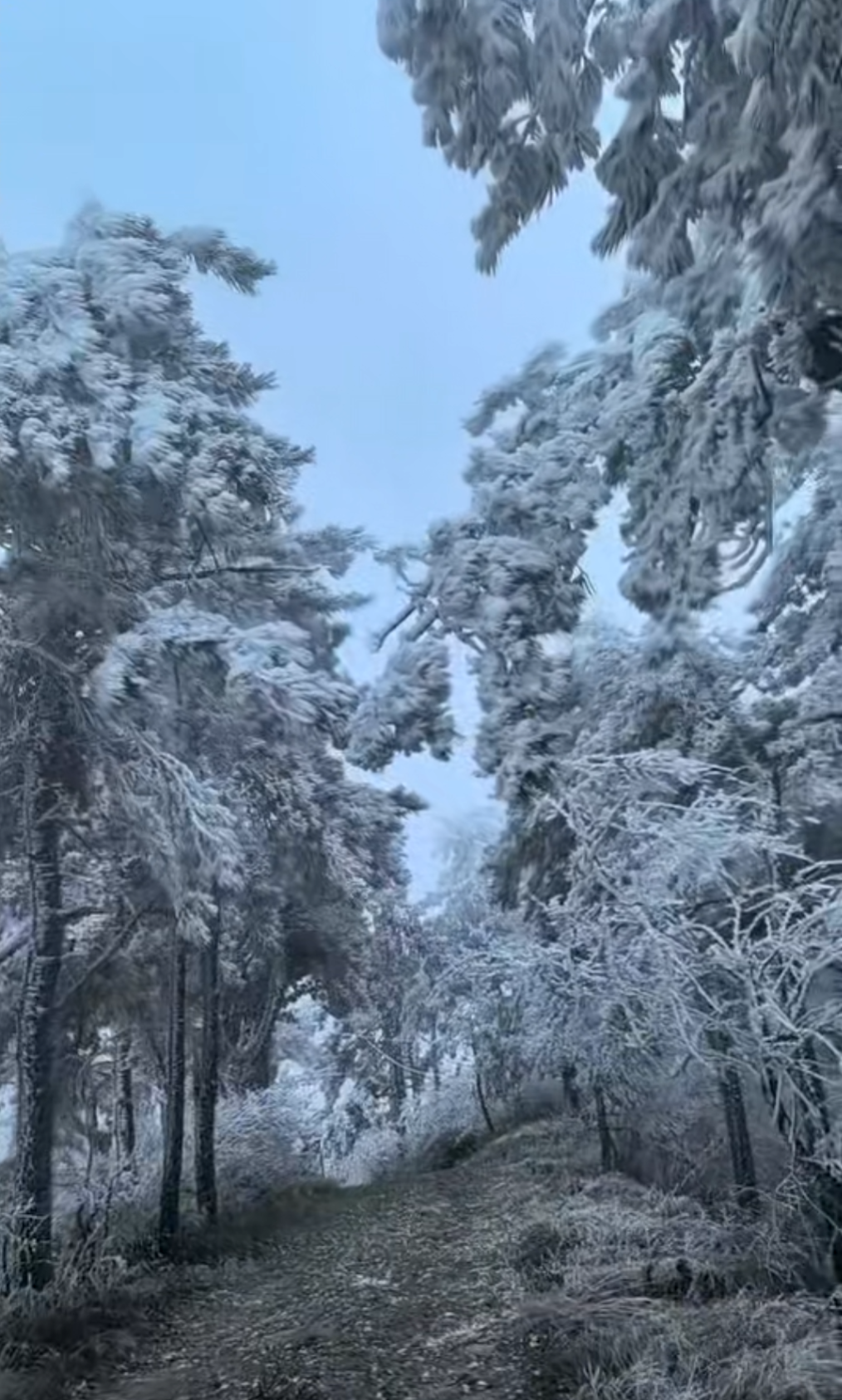 (图片来源:中国庐山发布)