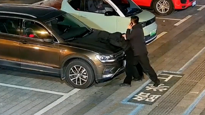 男子拉车门盗窃结果拉开警察车门