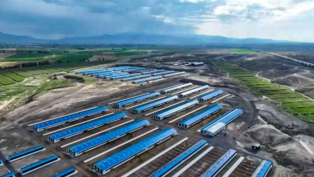 永昌县元生农牧科技有限公司奶绵羊养殖基地