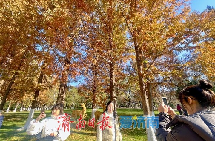 一年四季 泉在济南丨落叶绘“萌鹿” 济南五龙潭打卡冬日限定浪漫